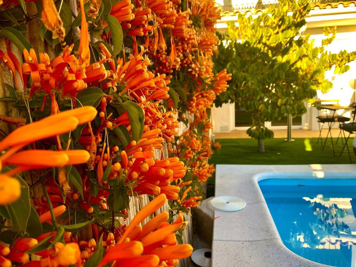 Suite Breeze - Private Heated Pool Malaga Ngoại thất bức ảnh
